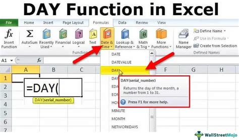 Using the DAYS Function