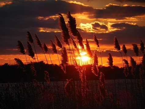 December Sunset