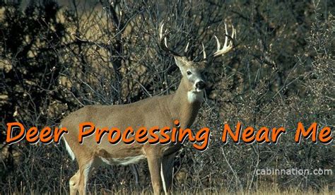 Deer Processor Near Me