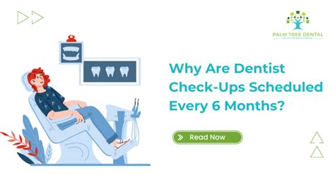 Dental Check-Ups