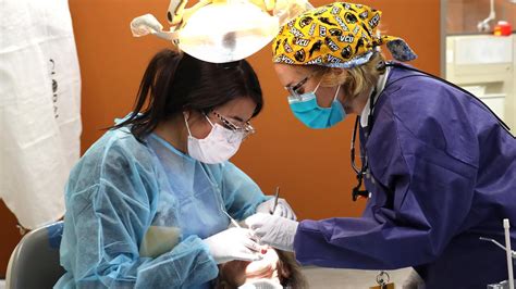 Dental Hygienist Dental School