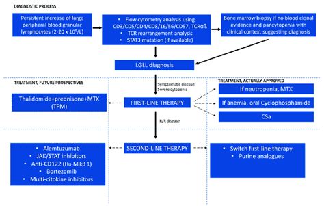 Diagnostic and Treatment Options