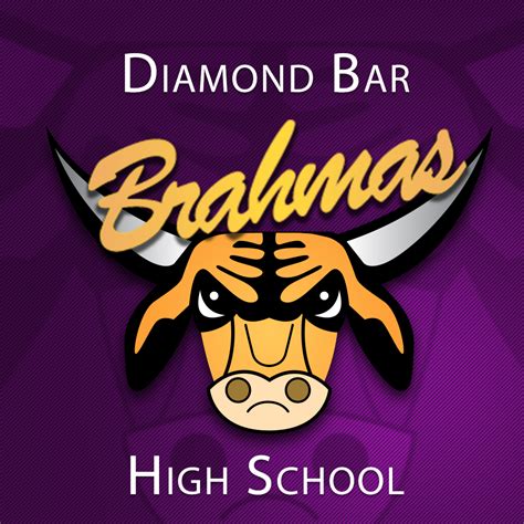 Diamond Bar High School Extracurricular Programs