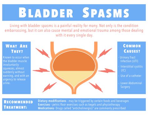 Dicyclomine for urinary tract spasms