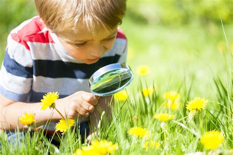 Discover the Beauty of Nature