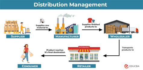 Distribution Management