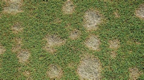 Dollar Spot section in Target