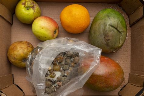 Edible Disposal