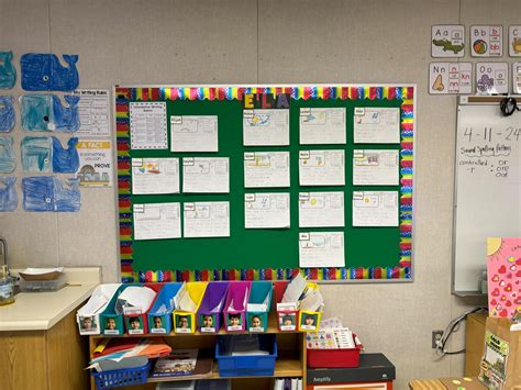 Elementary Teacher