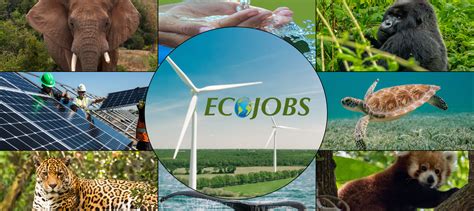 Environmental and conservation jobs