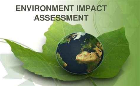Environmental impact infographic
