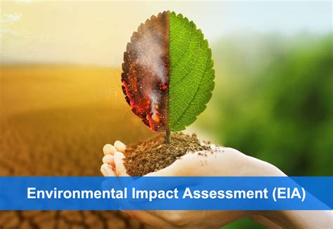 Environmental impact of population growth