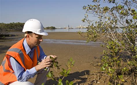 Environmental Inspector