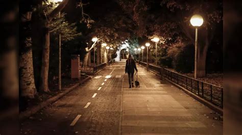 Evening walk