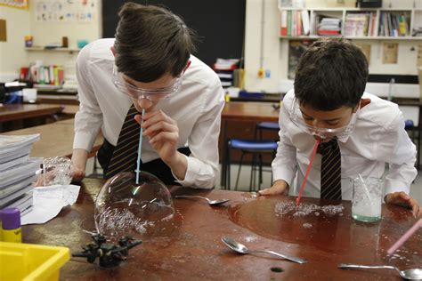 Extracurricular Opportunities