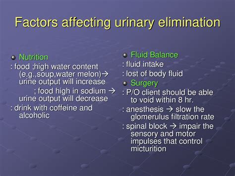 Factors Influencing Urine Output