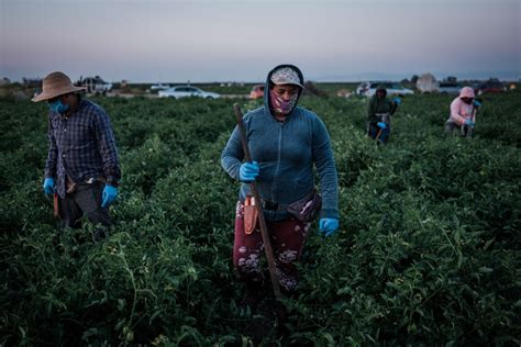 Farmworker in Los Angeles County