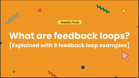 Feedback Loop