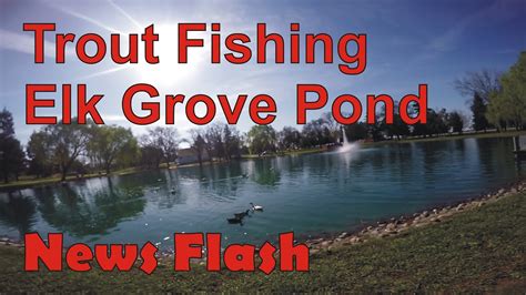 Fishing at Elk Grove Regional Park