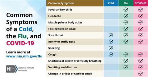Flu symptoms 2024