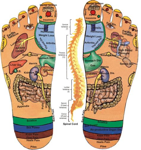 Foot Massage Techniques