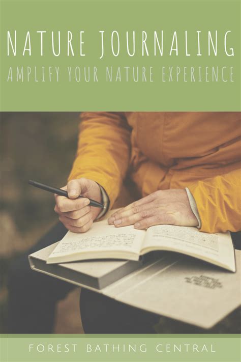Forest Bathing with Nature Journaling