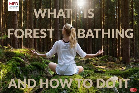 Forest Bathing for Wellness