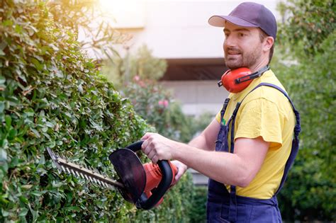 Garden Jobs and Landscaping Services