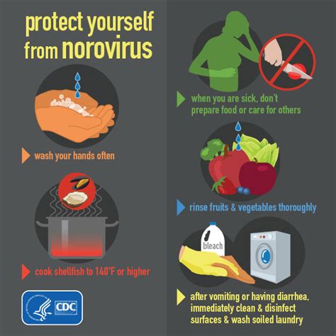 Gi bug safety