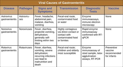 Gi bug symptoms