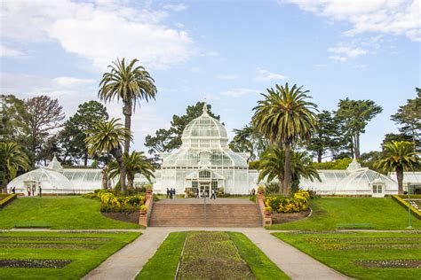 Golden Gate Park sun