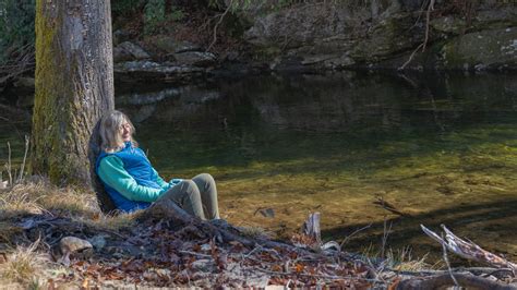 Guided Forest Bathing Tours