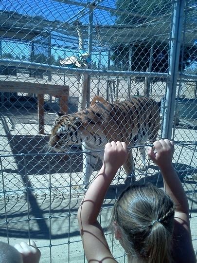 Hesperia Zoo
