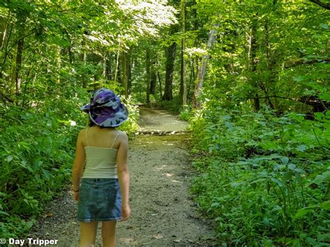 hiking trail in Union Bay Natural Area