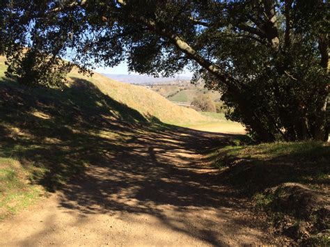 Hiking Trails of Pleasanton Ridge