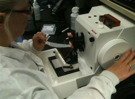Histotechnician