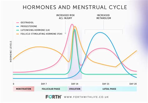 Hormone Levels