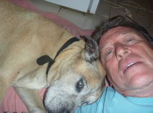House Sitter