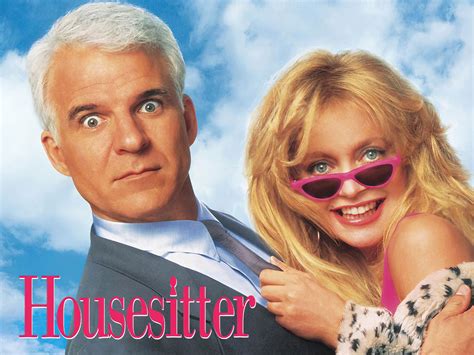 House Sitter