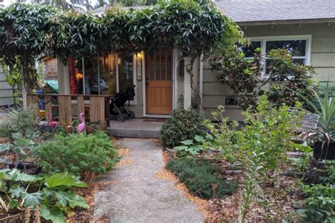House Sitter