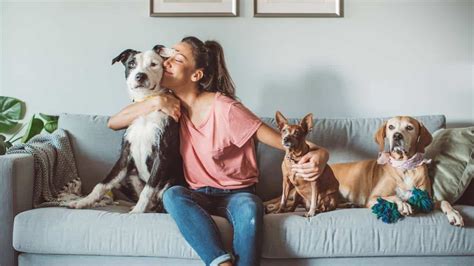 House sitting part-time job