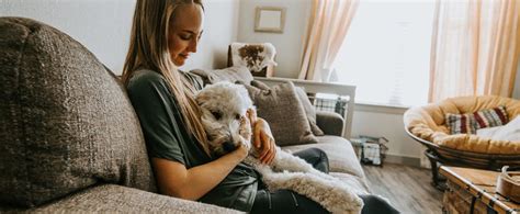 House Sitting or Pet Sitting