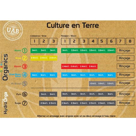 HP Culture