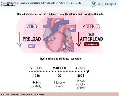 Hydralazine heart rate