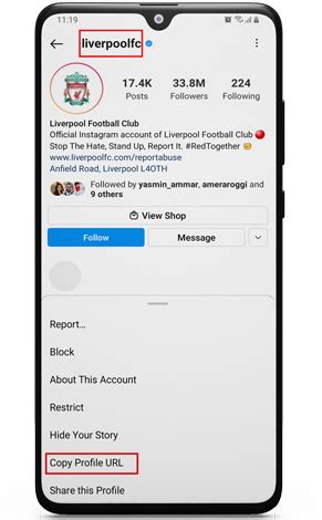Instagram Profile Viewer Apps