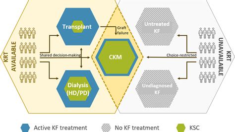 Integrated Care