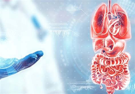 Internal Medicine Services