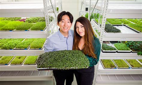 Irvine Jobs