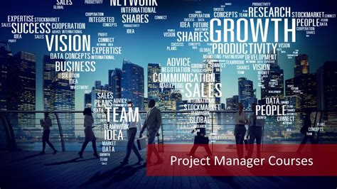 IT Project Manager Education Variations
