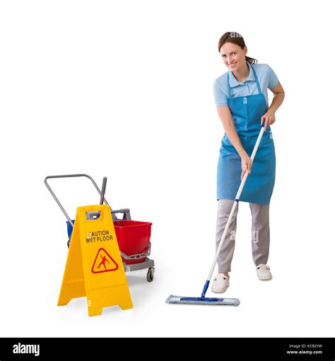 Janitor/Cleaner